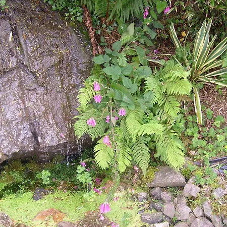 Bed & Breakfast Insiara Cork